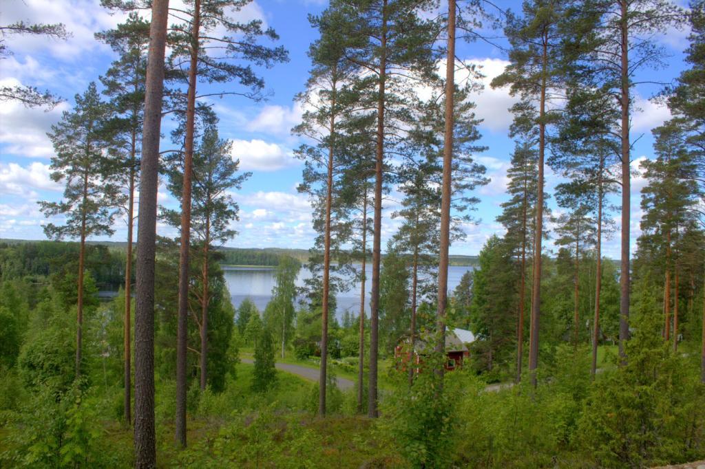 Talo järven rannalla