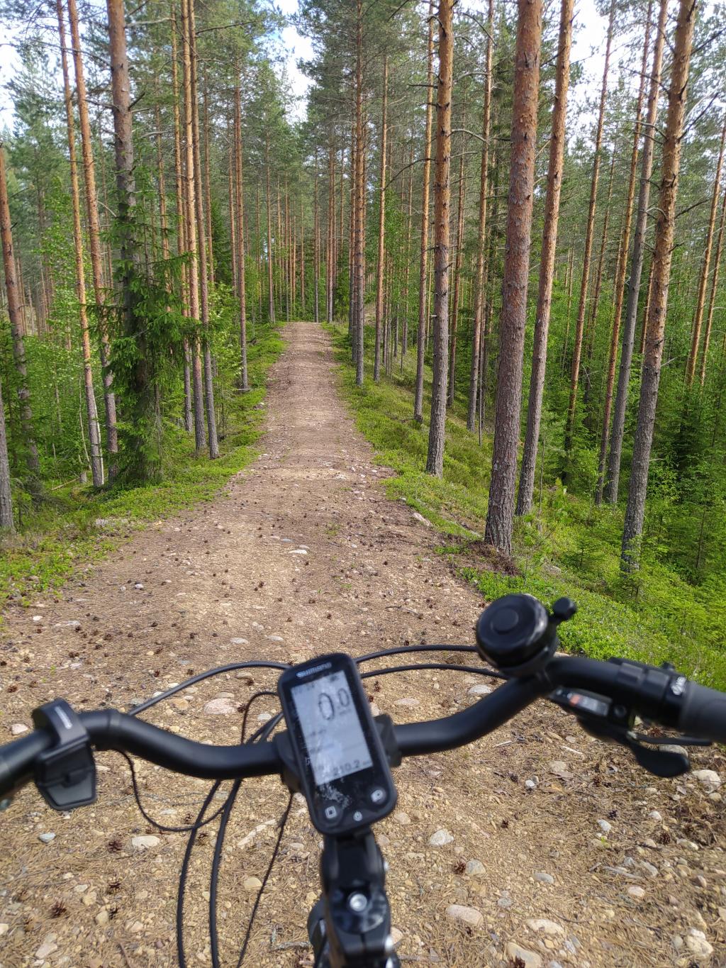 Mikkelin kaupunki ja Hirvensalmen, Juvan, Kangasniemen, Mäntyharjun, Pertunmaan ja Puumalan kunnat ovat käynnistäneet kävelyn ja pyöräilyn edistämisohjelman laatimisen.