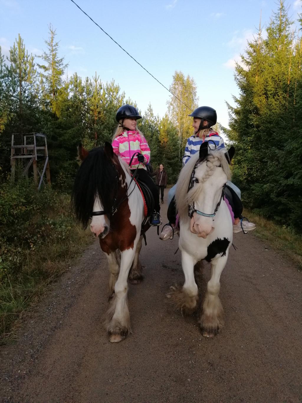 Ratsastusmahdollisuudet Juvalla