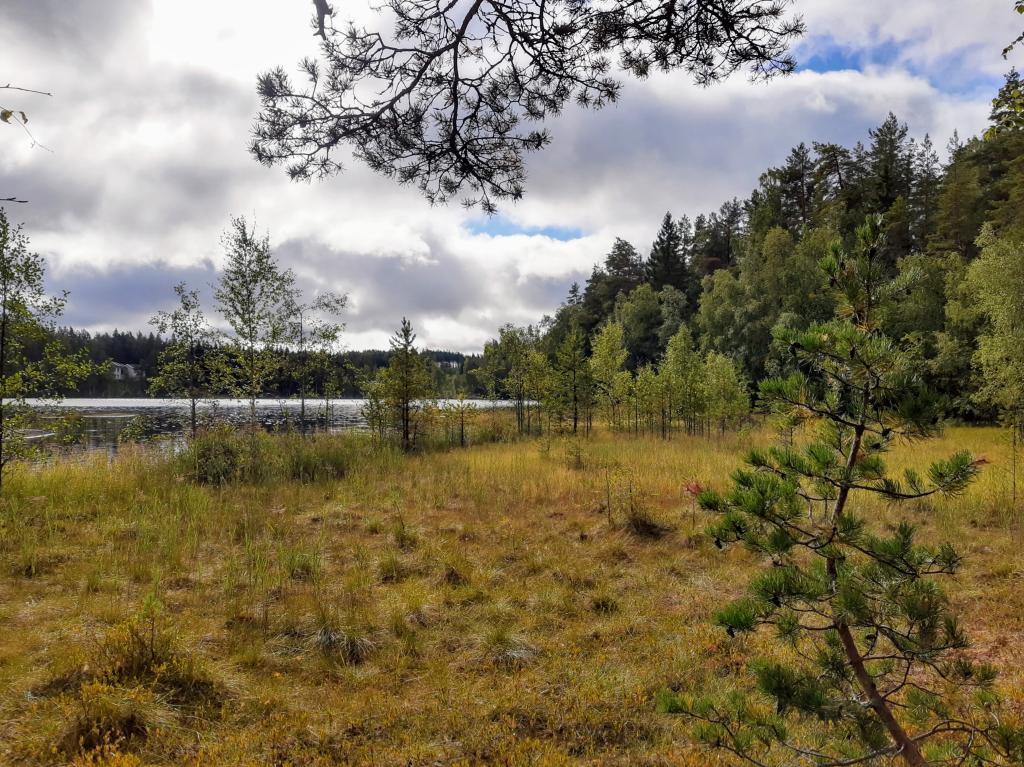 Gottlundin kierros - juvalaista luontoa ja kulttuurihistoriaa