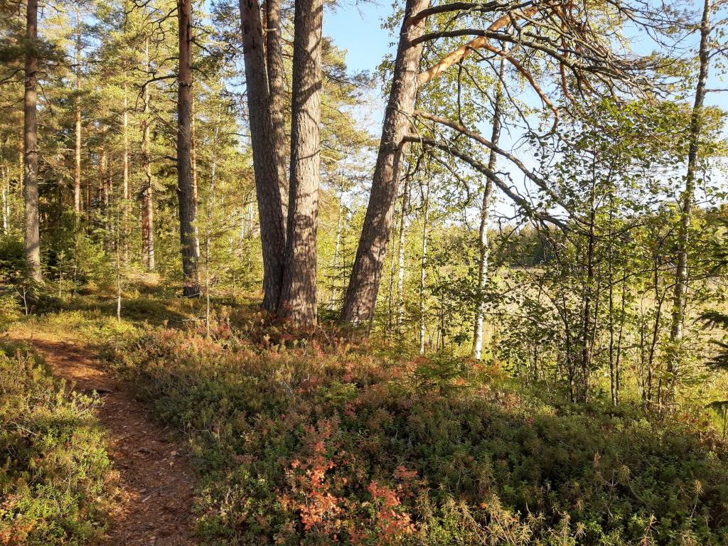 Geokätköily Juvalla