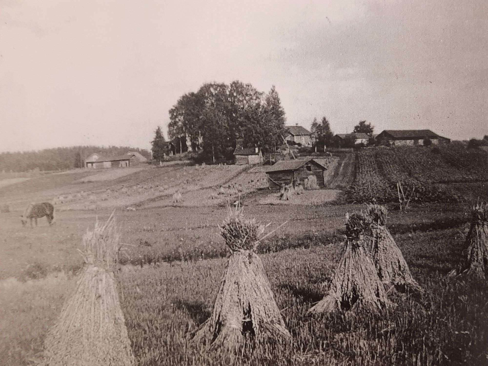 Lehtolan talo ja Kiiskilän kylän maisemaa ennen sotaa